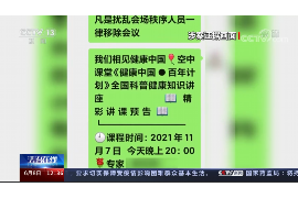 海盐为什么选择专业追讨公司来处理您的债务纠纷？