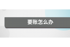 海盐专业催债公司的市场需求和前景分析